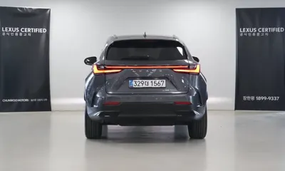 Lexus NX 2025, 8428 км, за 67500000 KRW - фото 4