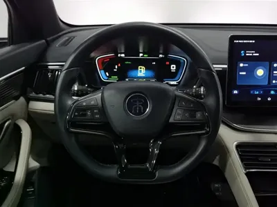 BYD PLUS New Energy 2023, 116800 км, за 55800 CNY - фото 11