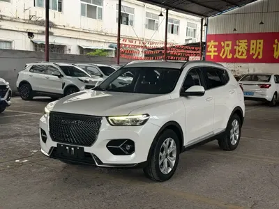 Haval H6 · 2020 год