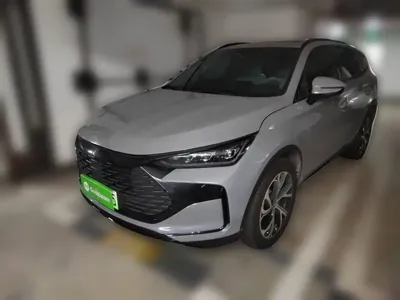 BYD Tang New Energy · 2024 год