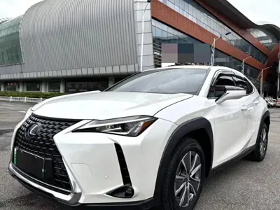 Lexus UX New Energy · 2023 год
