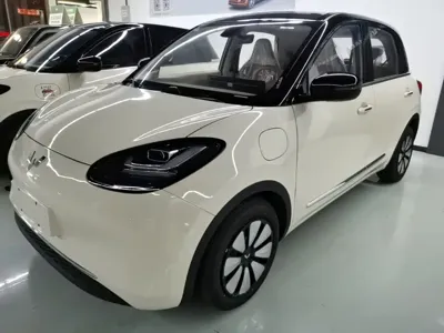 Wuling Bingo · 2026 год