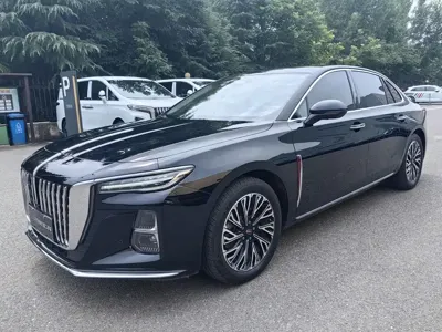 Hongqi Hongqi H5 · 2024 год
