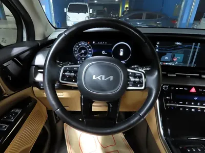 Kia Canival 2023, 125986 км, за 26800000 KRW - фото 9