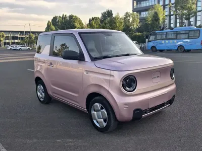 Galaxy Panda 2023, 23000 км, за 24800 CNY - фото 2