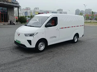 Wuling Yangguang · 2024 год