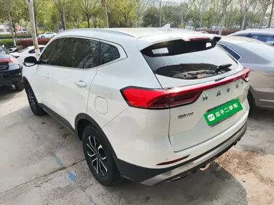 Haval H6 2021, 92300 км, за 52800 CNY - фото 23