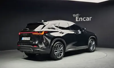 Lexus NX 2025, 25766 км, за 74100000 KRW