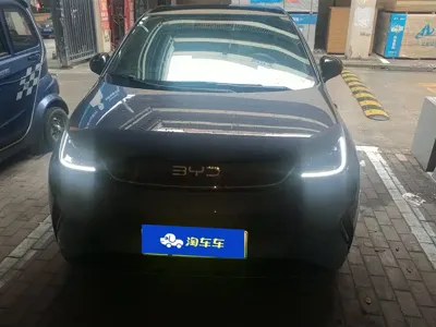 BYD Dolphin 2025, 24900 км, за 78000 CNY - фото 2