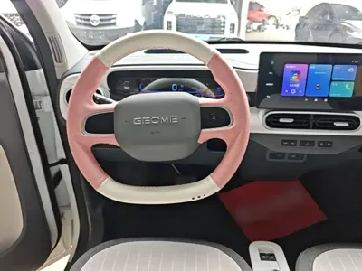 Galaxy Panda 2025, 9400 км, за 35900 CNY - фото 11