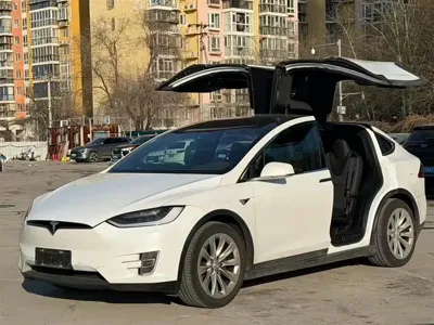 Tesla Model X · 2019 год