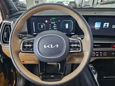 Kia Sorento 2025, 11046 км, за 34100000 KRW - фото 9