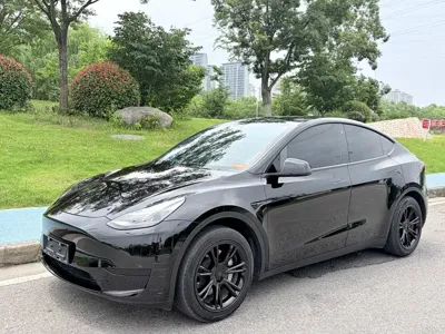 Tesla Model Y · 2023 год