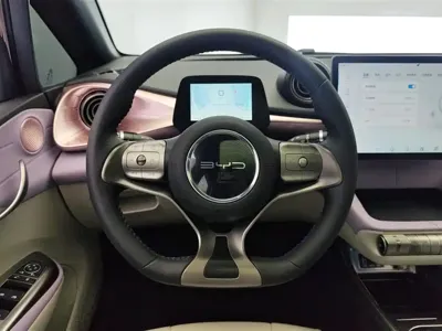 BYD Dolphin 2022, 71600 км, за 56800 CNY - фото 15