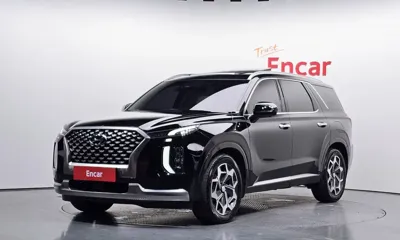 Hyundai Palisade · 2022 год