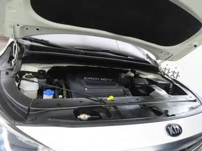 Kia Canival 2017, 180622 км, за 9290000 KRW - фото 19