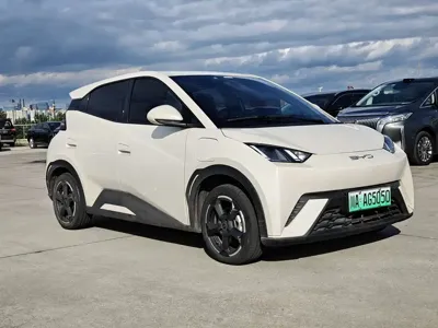 BYD Seagull 2023, 44000 км, за 48800 CNY