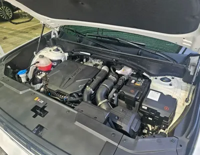 Hyundai Santafe 2024, 54000 км, за 28900000 KRW - фото 6