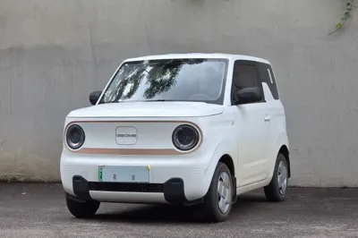 Geely Galaxy Panda 2024, 13200 км, за 45743.54 CNY - фото 14