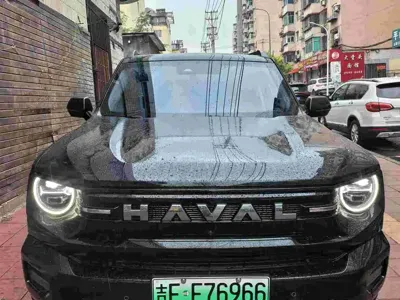 Haval 哈弗大狗 PLUS 新能源 · 2026 год