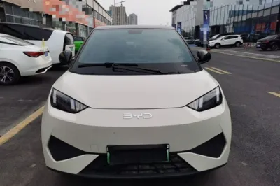 BYD Seagull 2025, 8100 км, за 69135.35 CNY
