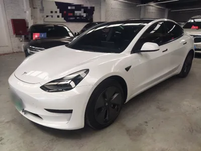 Tesla Model 3 · 2021 год