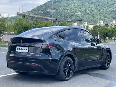 Tesla Model Y 2021, 110000 км, за 125600 CNY - фото 11