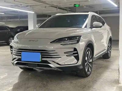 BYD PLUS New Energy · 2024 год