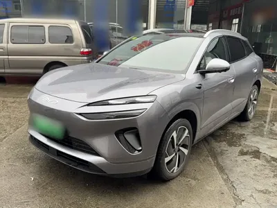 BYD 海狮06 · 2026 год