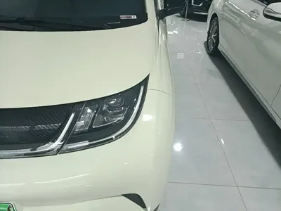 BYD Dolphin 2022, 82200 км, за 56500 CNY - фото 24