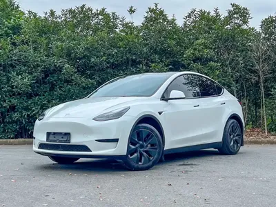 Tesla Model Y · 2024 год
