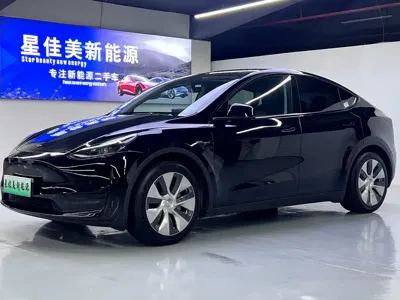 Tesla Model Y · 2022 год