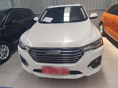 Haval H4 2019, 81900 км, за 39900 CNY - фото 3