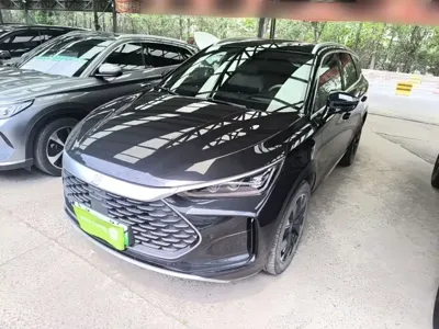 BYD Tang New Energy · 2024 год
