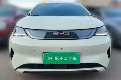 BYD Dolphin 2025, 51200 км, за 66768.88 CNY