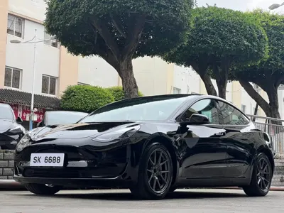 Tesla Model 3 · 2021 год