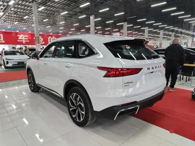 Haval Xiaolong Max 2025, 100 км, за 118800 CNY - фото 3