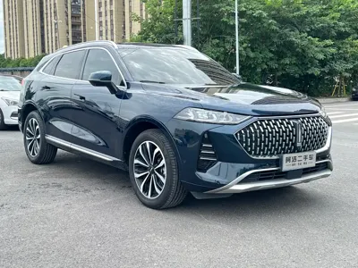 WEY Wey Mocha 2021, 50000 км, за 68800 CNY
