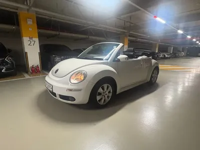 Volkswagen Beatle · 2009 год