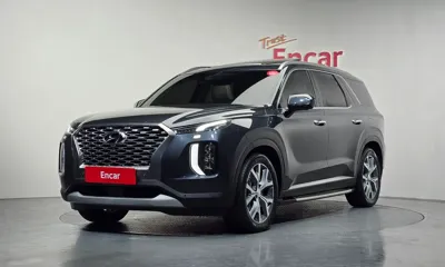 Hyundai Palisade · 2019 год
