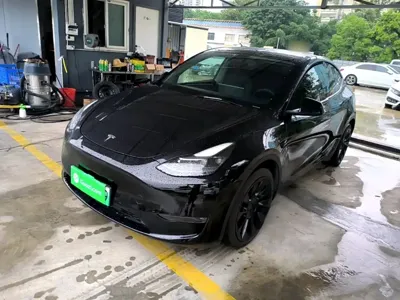 Tesla Model Y · 2021 год