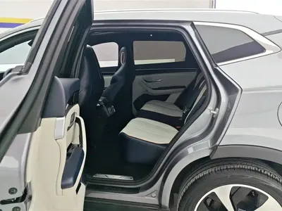 BYD PLUS New Energy 2023, 48000 км, за 79900 CNY - фото 11