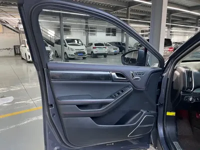 BYD Tang New Energy 2019, 123000 км, за 57800 CNY - фото 8