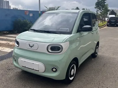 Wuling MINIEV · 2025 год