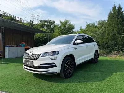 Skoda Karoq · 2022 год