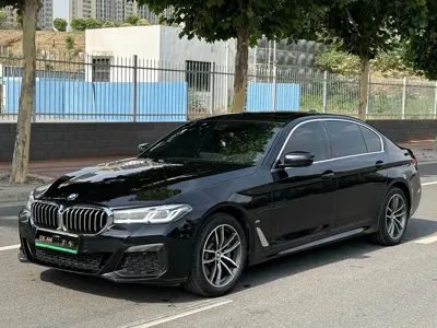 BMW 5 Series New Energy · 2022 год