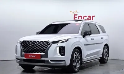 Hyundai Palisade · 2019 год