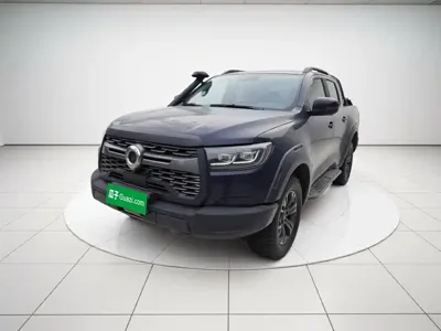 Great Wall Pao · 2020 год