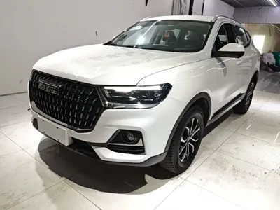Haval H6 · 2024 год