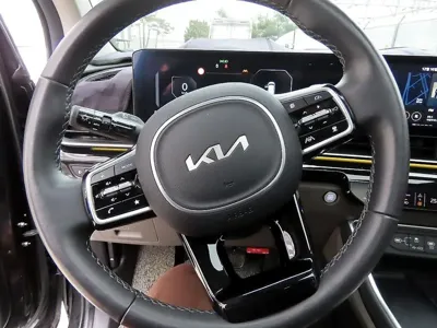 Kia Canival 2025, 33874 км, за 45900000 KRW - фото 9